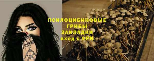 Альфа ПВП Алзамай
