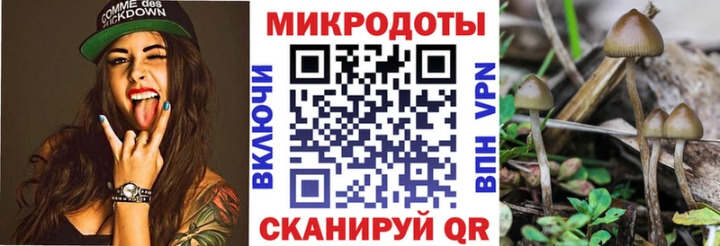 Псилоцибиновые грибы MAGIC MUSHROOMS  Хвалынск 